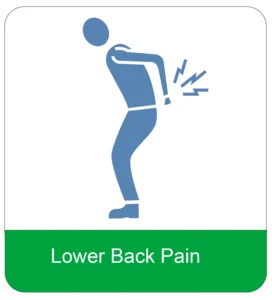 Lower Back